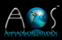 Director firm logo