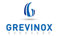 Overseas business comapny logo design